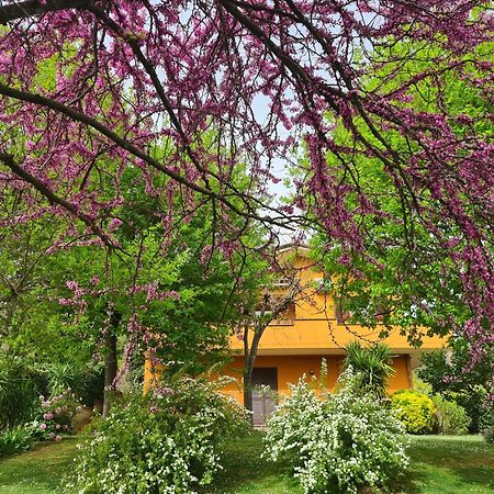 Il Parco Holiday - Locazione Turistica Fonte Nuova Ngoại thất bức ảnh